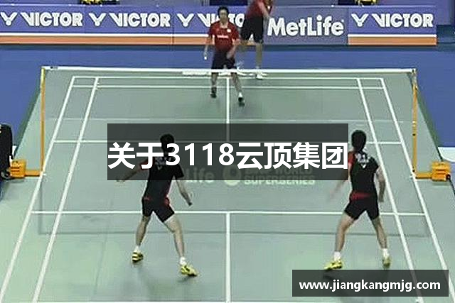 关于3118云顶集团